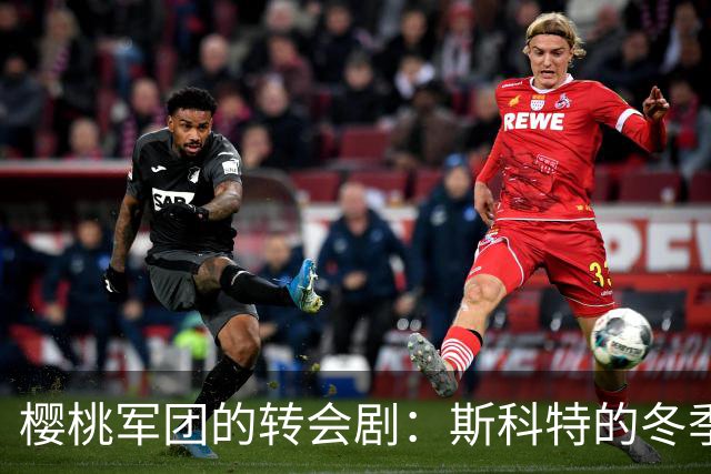 樱桃军团的转会剧：斯科特的冬季出走之道